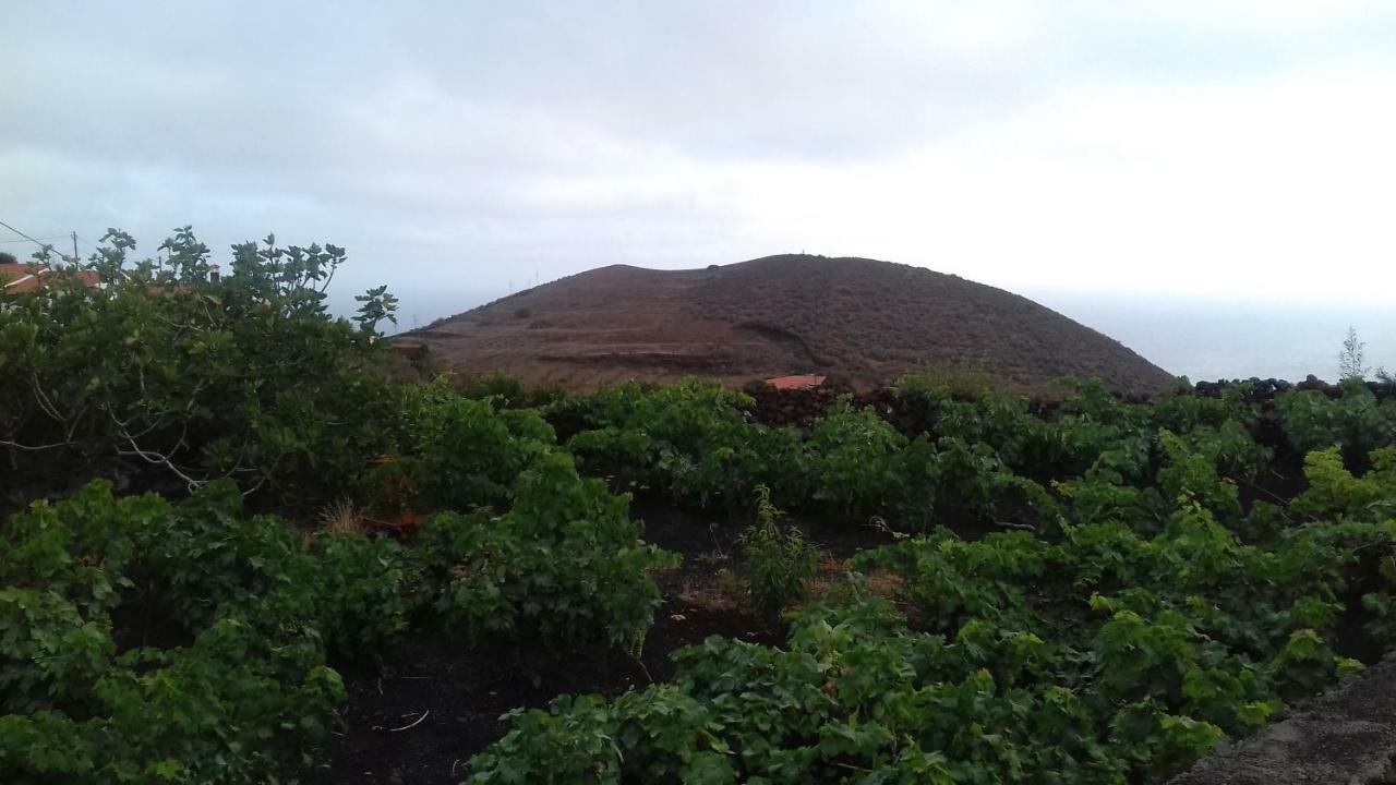 Casa Rural Domingo Pio Echedo Екстериор снимка